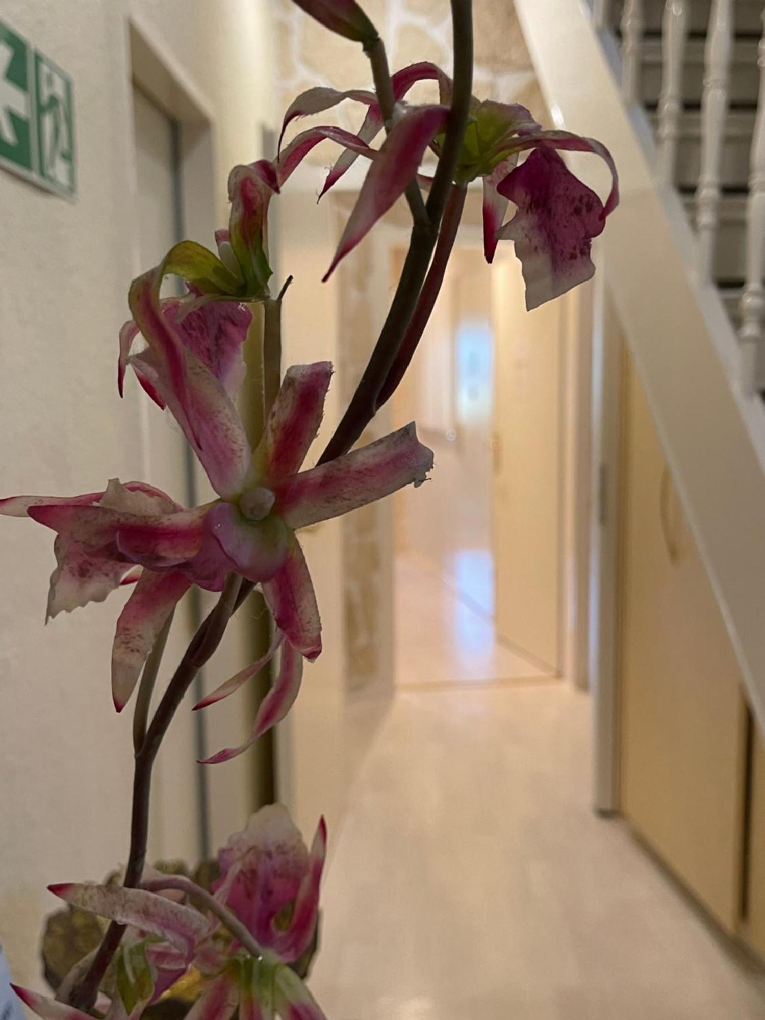 Hotel Villa Vital Munster Εξωτερικό φωτογραφία